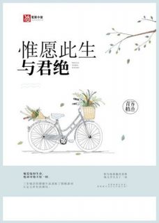 惟愿此生与君绝全文免费阅读 惟愿此生与君绝颜婉清左弘文最新章节