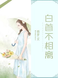 《白首不相离》白首顾奈小说在线阅读