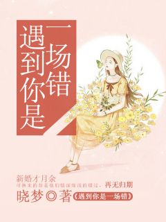 《遇到你是一场错》玲秀蒋渊厉旺生全文免费阅读