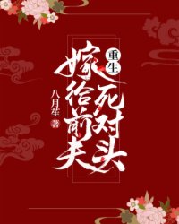 重生嫁给前夫死对头楚枝韩湛全文精彩内容免费阅读