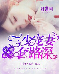 《婚婚欲恋：三少宠妻套路深》完结版精彩阅读 叶语君龙一星小说在线阅读