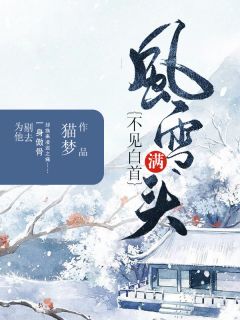 风雪满头，不见白首君慕言叶飞霜全文精彩内容免费阅读