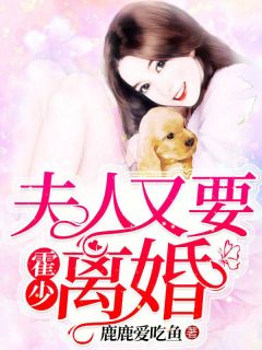 陆宁宁霍闻声小说《霍少，夫人又要离婚》全文及大结局精彩试读