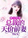 携宝归来：总裁的天价前妻