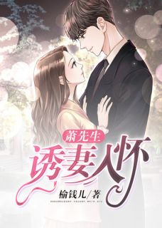 萧先生，诱妻入怀(乔阮萧夜白)全文完结在线阅读完整版