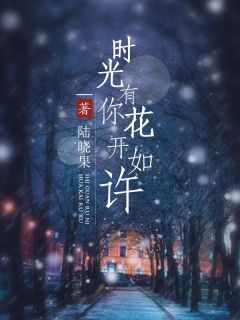 时光有你，花开如许全文免费试读(花晓芃陆谨言) 完结版