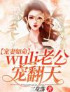 宠妻如命：wuli老公宠翻天