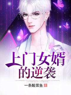 上门女婿的逆袭(秦昊王琦)全文完结在线阅读完整版