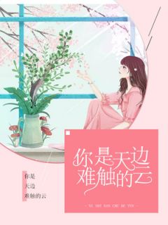 《你是天边难触的云》顾时年叶轻轻小说在线阅读