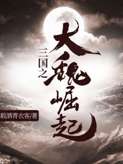 三国之大魏崛起完整小说目录在线阅读 (曹丕关羽) 大结局无弹窗