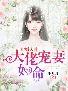 甜婚入骨：大佬宠妻如命丁晨夕孟祁岳小说_甜婚入骨：大佬宠妻如命小说章节