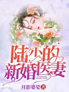 陆少的新婚医妻免费试读(季凉凉陆挚尧小说全本资源) 无广告