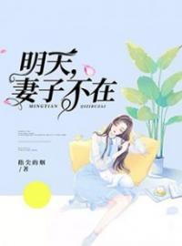 明天，妻子不在(秋秋陆平陈媛媛)全文完结在线阅读完整版