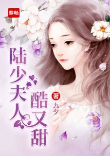 叶晚陆煜川小说阅读_叶晚陆煜川小说《陆少夫人酷又甜》