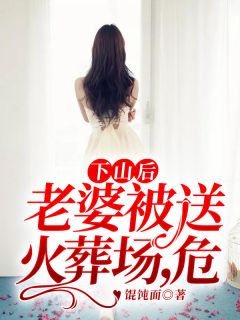 《下山后：老婆被送火葬场，危！》大结局免费阅读 《下山后：老婆被送火葬场，危！》最新章节目录