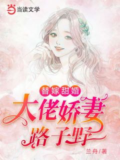 小说《替嫁甜婚：大佬娇妻路子野》秦嫚陆宗洺全文免费试读