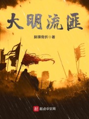 主角是刘恒李树衡的小说在线阅读 大明流匪免费阅读