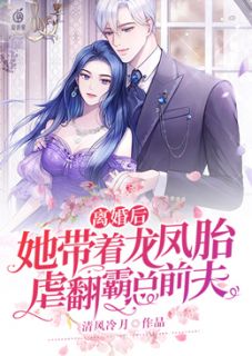 《离婚后，她带着龙凤胎虐翻霸总前夫》最新章节 离婚后，她带着龙凤胎虐翻霸总前夫安洛瑾司北辰全文阅读