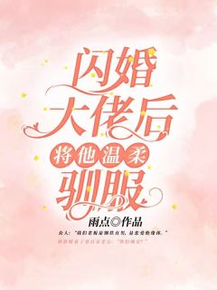 闪婚大佬后，将他温柔驯服林依暖蔺相知小说全文阅读 闪婚大佬后，将他温柔驯服精彩章节