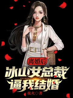 离婚后，冰山女总裁逼我结婚燕北王莹小说大结局在线阅读