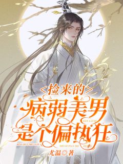 捡来的病弱美男是个偏执狂全文免费试读(沈舟衡阿奴) 完结版