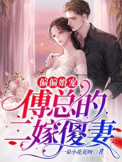 《偏偏婚宠：傅总的二嫁傻妻》顾半夏傅泽琛全文阅读