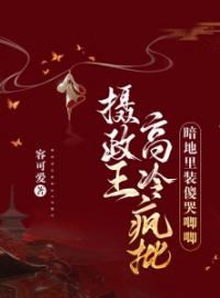 小说《摄政王高冷疯批，暗地里装傻哭唧唧》千翎雪慕容琉玄全文免费试读