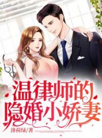 温律师的隐婚小娇妻完整全文阅读 宋梨温津小说结局无删节