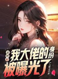 《退婚后，我大佬的身份被曝光了》叶不尘韩嫣全文阅读