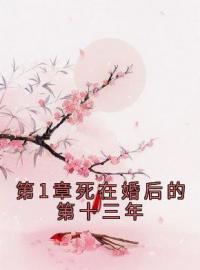 《第1章死在婚后的第十三年》最新章节 第1章死在婚后的第十三年沈淳然江烨凤琉殇全文阅读