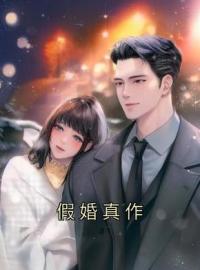 《假婚真作》许慕暖司惟胤小说在线阅读