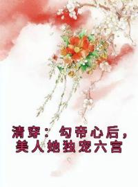 清穿：勾帝心后，美人她独宠六宫全文在线阅读 何沅淇康熙小说全本无弹窗