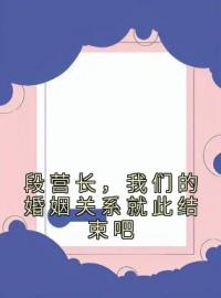 苏紫烟段南安小说《段营长，我们的婚姻关系就此结束吧》全文及大结局精彩试读