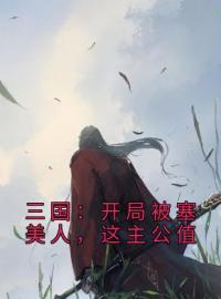 三国：开局被塞美人，这主公值完整全文阅读 刘禅刘善小说结局无删节