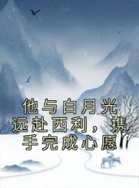 他与白月光远赴西利，携手完成心愿(裴延礼梁平霜)全文完结在线阅读完整版