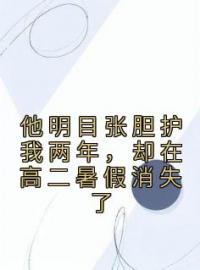 《他明目张胆护我两年，却在高二暑假消失了》免费试读 何婧顾辞小说在线阅读