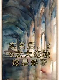 实名后，po文大佬被爆是影帝全文免费试读 宋书书陆亦淮小说大结局无弹窗