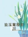 沈玉鸾褚沂川