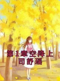 第1章空降上司舒瑶免费试读(舒瑶陆闻屿小说全本资源) 无广告