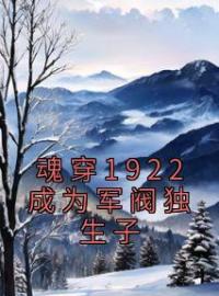 魂穿1922成为军阀独生子卢箫嘉张佩华小说在线阅读 魂穿1922成为军阀独生子最新章节