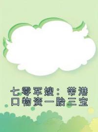 主角叫苏一依顾振阳的小说是什么 七零军嫂：带港口物资一胎三宝全文免费阅读