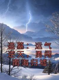 盗墓：运气逆天，勇闯南海归墟全文在线阅读 苏阳雪莉杨小说全本无弹窗