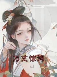 万丈惊鸿全章节免费试读 主角林婉晴朱景琛完结版