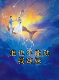 小说《谁也不能动我妹妹》徐胜男盼儿全文免费试读