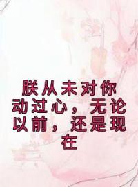 《朕从未对你动过心，无论以前，还是现在》齐珞锦姜佑小说在线阅读