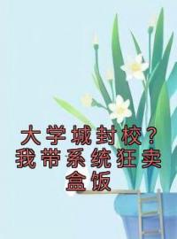 《大学城封校？我带系统狂卖盒饭》陈羽冯诗雅全文免费阅读