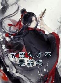 好书推荐《女魔头才不是菜鸡》方休忘铭全文在线阅读