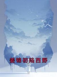 姜锦初陆西野姜锦初陆西野小说阅读_姜锦初陆西野文本在线阅读