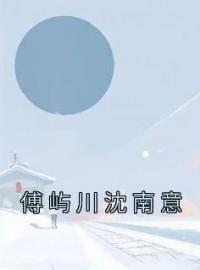 傅屿川沈南意全文免费阅读 傅屿川沈南意沈南意傅屿川最新章节