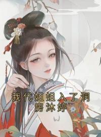 《我代姐姐入了洞房沐婷》沐妍韩睿全文阅读